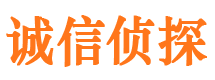 贵池市私家侦探